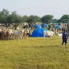 10 người thiệt mạng trong các cuộc đụng độ ở miền Nam Cộng hòa Chad