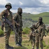 Cộng đồng Đông Phi điều tra vụ thảm sát 11 người ở CHDC Congo