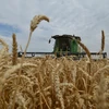 Nga tái khẳng định cung cấp ngũ cốc miễn phí cho các nước châu Phi