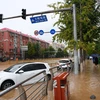 Trung Quốc: Hàng chục nghìn người dân Bắc Kinh phải sơ tán do lũ lụt
