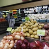 FAO: Chỉ số giá lương thực thế giới tăng trở lại trong tháng 7