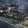 Tổng thống Mỹ tuyên bố tình trạng thảm họa tại Hawaii do cháy rừng