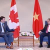 Đại sứ Shawn Steil: Quan hệ Việt Nam-Canada đạt được “bước nhảy vọt"