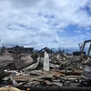 Mỹ: Công ty điện lực bác đơn kiện gây ra thảm họa cháy rừng tại Hawaii