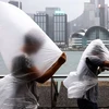 Trung Quốc: Hong Kong nâng cảnh báo bão Saola lên mức cao nhất 
