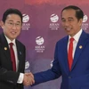 Nhật Bản, Indonesia mở rộng hợp tác an ninh hàng hải, năng lượng