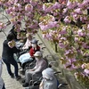 Số người sống thọ trên 100 tuổi tại Nhật Bản tăng cao kỷ lục