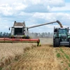Ukraine nêu điều kiện rút khiếu nại 3 nước EU về lệnh hạn chế ngũ cốc