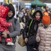 EU gia hạn quy chế bảo vệ tạm thời đối với người tị nạn Ukraine