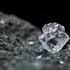 Kim cương thô giảm giá mạnh do nhu cầu thấp sau đại dịch COVID-19