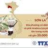 [Infographics] Lễ hội Cà phê Sơn La quảng bá hương vị núi rừng Tây Bắc