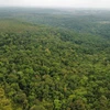 Đắk Nông: Dịch vụ môi trường rừng chiếm hơn 70% mức đầu tư lâm nghiệp