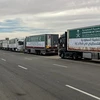 Đoàn xe tải chở hàng viện trợ cho Gaza chờ di chuyển qua cửa khẩu Rafah, ngày 22/11/2023. (Ảnh: AFP/TTXVN)