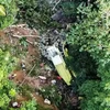 Philippines: Xe khách lao xuống vực, 25 người chết