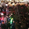 Bỉ: Đổ cây thông Noel ở chợ Giáng sinh khiến 3 người thương vong
