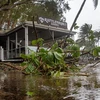 Cây cối gãy đổ do bão Jasper tại bang Queensland, Australia ngày 13/12/2023. (Ảnh: AFP/TTXVN)