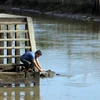 Nhân viên Chi cục Thủy lợi tỉnh Sóc Trăng đo nồng độ mặn ở huyện Kế Sách. (Ảnh: Tuấn Phi/TTXVN)