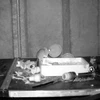 Hình ảnh thu được từ camera chú chuột đang dọn dẹp các đồ vật đặt vào trong một chiếc khay. (Nguồn: Newsflare)