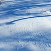 Tuyết phủ dày tại Des Moines, bang Iowa, Mỹ ngày 14/1/2024. (Ảnh: AFP/TTXVN)