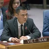 Đại sứ Đặng Hoàng Giang, Trưởng Phái đoàn thường trực Việt Nam tại Liên hợp quốc, phát biểu. (Ảnh: TTXVN phát)