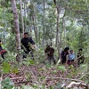 Người dân xã Pha Mu, huyện Than Uyên tham gia bảo vệ, phát triển rừng. (Ảnh: Việt Hoàng/TTXVN)