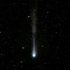 Hình ảnh Sao chổi Quỷ quan sát qua kính thiên văn ngày 5/3/2024. (Nguồn: New Scientist)