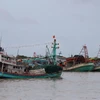 Tàu cá tại cửa biển Sông Đốc, huyện Trần Văn Thời (Cà Mau). (Ảnh: Kim Há/TTXVN)
