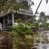 Cây cối gãy đổ khi bão Jasper đổ bộ vào Cairns, Australia, ngày 13/12/2023. (Ảnh: AFP/TTXVN)