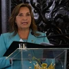 Tổng thống Peru Dina Boluarte phát biểu tại Lima ngày 26/10/2023. (Ảnh: AFP/TTXVN)