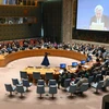 Quang cảnh một phiên họp Hội đồng Bảo an Liên hợp quốc tại New York, Mỹ ngày 29/11/2023. (Ảnh: Kyodo/TTXVN)