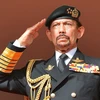 Quốc vương Brunei, ông Haji Hassanal Bolkiah Mu'izzaddin Waddaulah. (Nguồn: Mạng xã hội X)