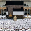Các tín đồ Hồi giáo cầu nguyện tại Đền thờ lớn ở Thánh địa Mecca, Saudi Arabia, trong lễ hành hương Hajj ngày 4/6/2024. (Ảnh: AFP/TTXVN)