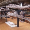 Mô hình bộ xương của loài cá sấu cổ đại Sarcosuchus tại Bảo tàng Tự nhiên Quốc gia ở Paris, Pháp. (Nguồn: Wikimedia Commons)