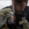 [Video] WHO: Vắcxin ngừa Ebola sẽ được sử dụng vào tháng 11 tới