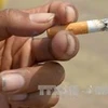 [Video] Biến đầu lọc thuốc lá thành vật liệu lưu trữ năng lượng