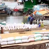 [Video] Kiến nghị tăng doanh nghiệp đầu mối xuất khẩu gạo