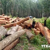 [Video] Hướng dẫn về thuế VAT đối với sản phẩm gỗ