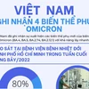 [Infographics] Việt Nam ghi nhận 4 biến thể phụ của Omicron