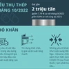 [Infographics] Ngành thép Việt Nam kỳ vọng gì trong năm 2023?