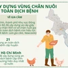 Phát triển sản phẩm chăn nuôi vùng Đông Nam Bộ vươn tầm thế giới