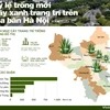[Infographics] Tỷ lệ trồng mới cây xanh trang trí trên địa bàn Hà Nội