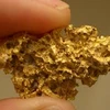 Phát hiện kho vàng siêu lớn dưới đáy Thái Bình Dương