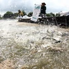 Đồng bằng sông Cửu Long tăng nuôi trồng thủy sản lên 800.000ha