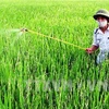 Đắk Lắk: Ba mẹ con nguy kịch vì uống thuốc diệt cỏ