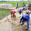 Cải tạo, nâng cấp đường giao thông nội đồng xây dựng nông thôn mới tại xã Tân Hội. (Ảnh: Đình Huệ/TTXVN)