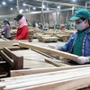 Sản xuất gỗ thanh ghép tại Công ty Hoàng Đức Linh. (Ảnh: Trần Việt/TTXVN)