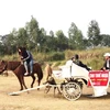 Dịch vụ cho thuê cưỡi ngựa “hút khách.” (Ảnh: Thanh Tâm/Vietnam+)