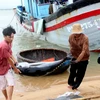 Cá ngừ đại dương trong chuyến biển đầu năm của ngư dân Phú Yên. (Ảnh: Thế Lập/TTXVN)