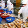 EU sẽ kiểm tra chất lượng nhuyễn thể hai mảnh vỏ ở Việt Nam