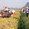 Kêu gọi các nhà tài trợ quốc tế tiếp tục hỗ trợ tái cơ cấu nông nghiệp